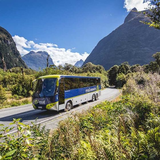 Milford Sound Coach & Cruise ex Queenstown