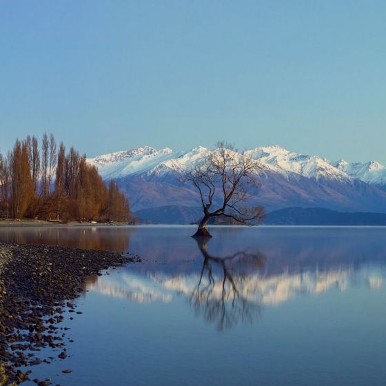 Arrowtown Wanaka Highlights Tour