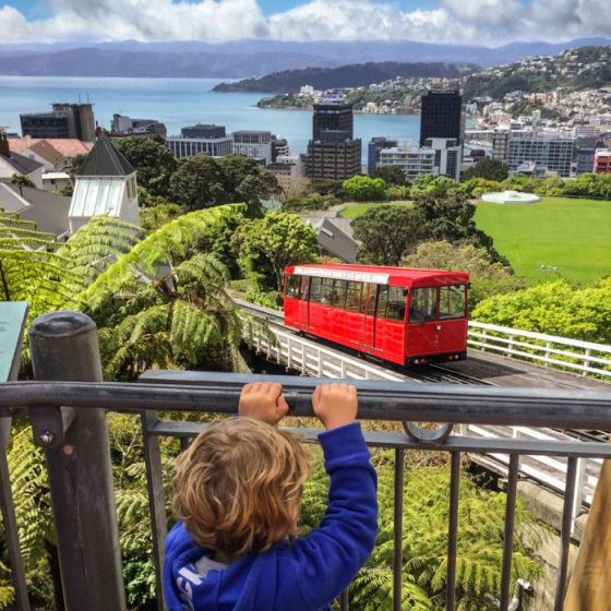 Wellington Cable Car Return Trip